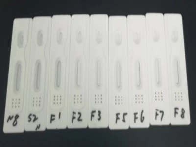 SARS-CoV-2（COVID-19）IgM / IgG抗體快速檢測
